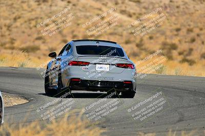media/Nov-16-2024-Extreme Speed (Sat) [[6587d07cc4]]/Gold Group/Session 2 (Turns 3 and 5)/